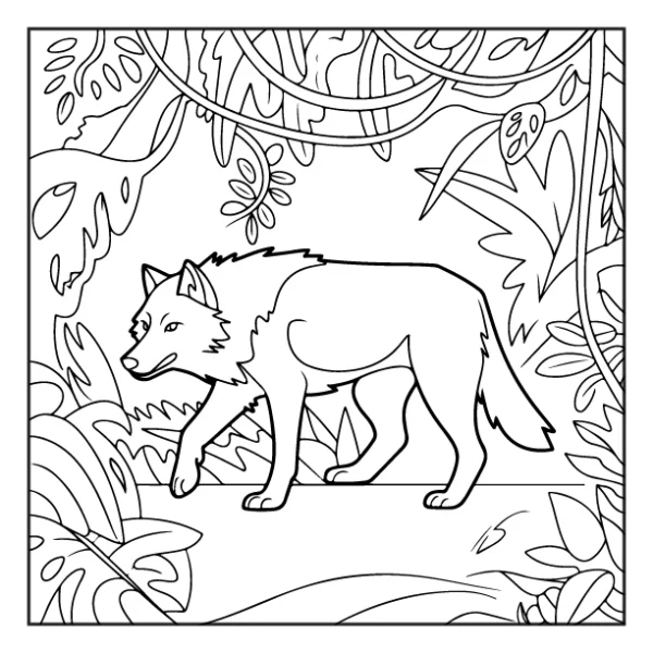Desenhos de Animais da Floresta para colorir 10