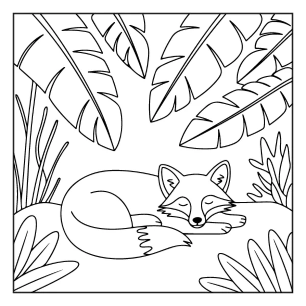 Desenhos de Animais da Floresta para colorir 11