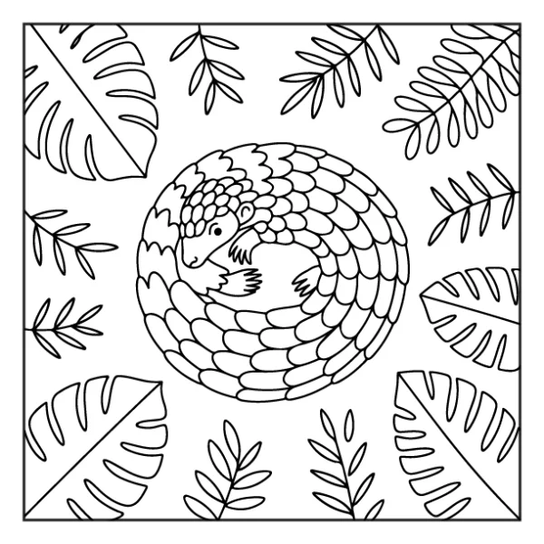Desenhos de Animais da Floresta para colorir 12
