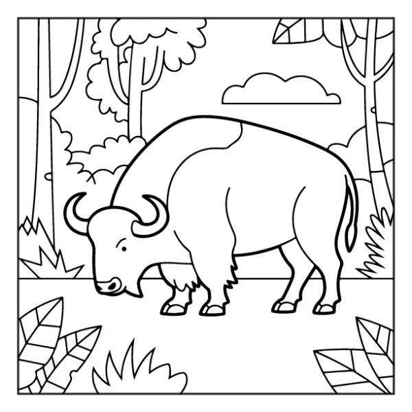Desenhos de Animais da Floresta para colorir 13