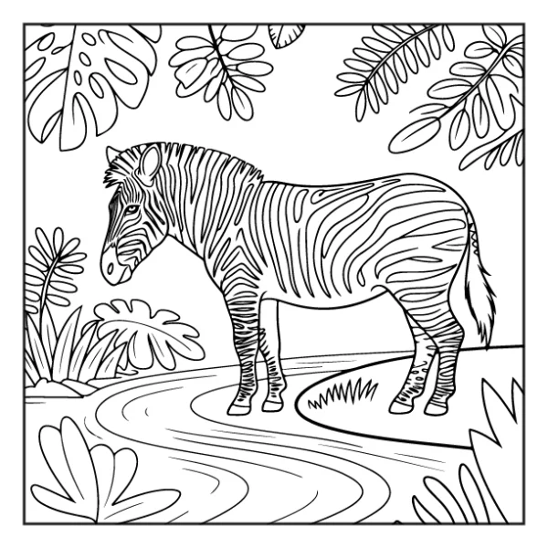 Desenhos de Animais da Floresta para colorir 14