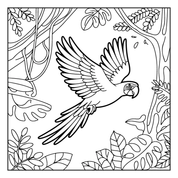 Desenhos de Animais da Floresta para colorir 15