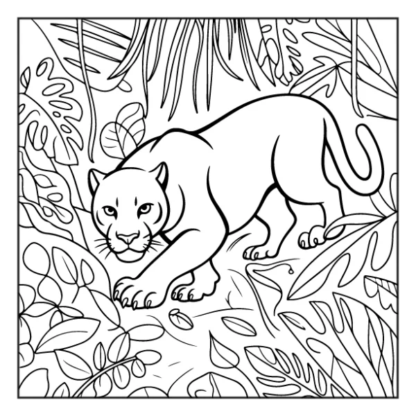 Desenhos de Animais da Floresta para colorir 16