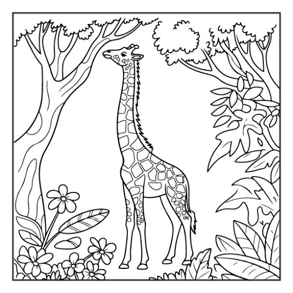 Desenhos de Animais da Floresta para colorir 18