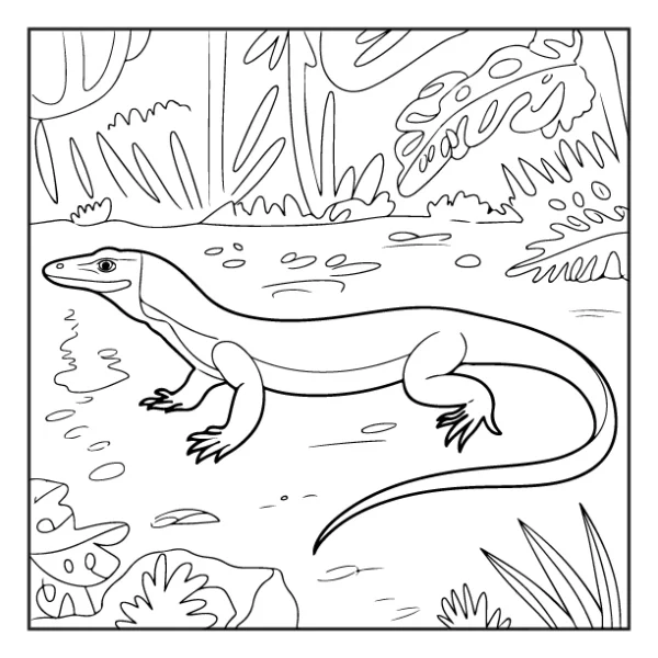 Desenhos de Animais da Floresta para colorir 19