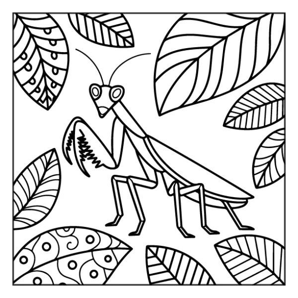 Desenhos de Animais da Floresta para colorir 20