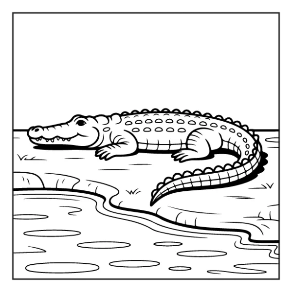 Desenhos de Animais da Floresta para colorir 22