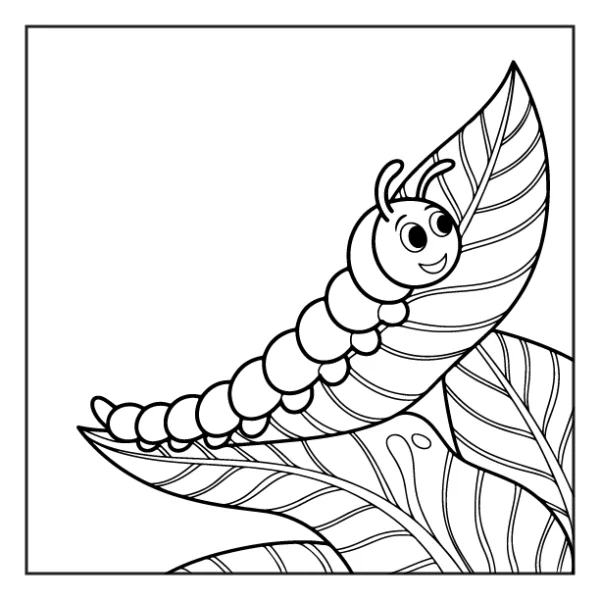 Desenhos de Animais da Floresta para colorir 23