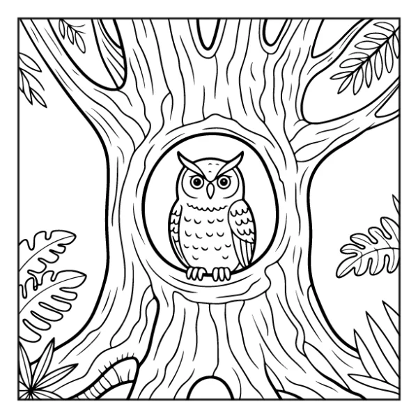 Desenhos de Animais da Floresta para colorir 24