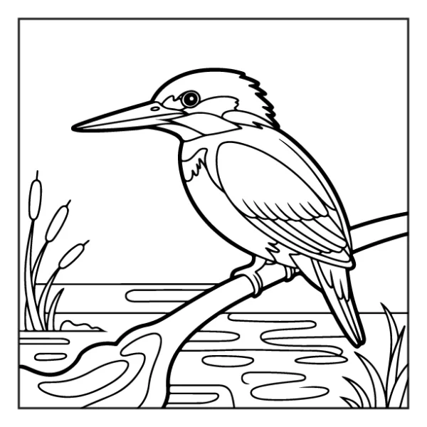 Desenhos de Animais da Floresta para colorir 26