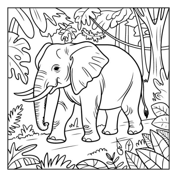Desenhos de Animais da Floresta para colorir 27