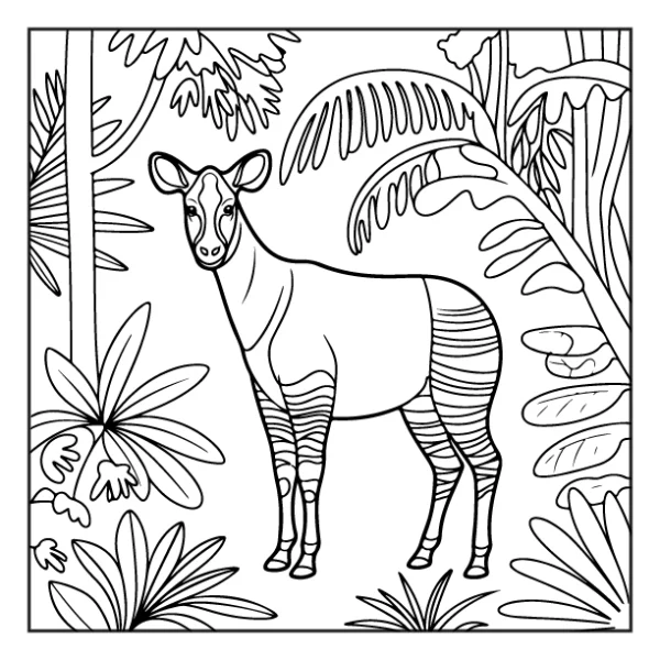 Desenhos de Animais da Floresta para colorir 3