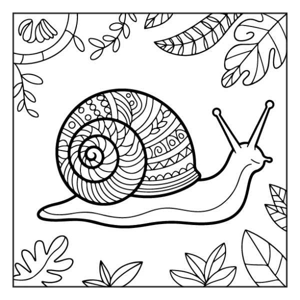 Desenhos de Animais da Floresta para colorir 32