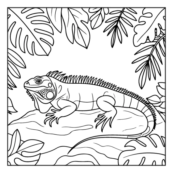 Desenhos de Animais da Floresta para colorir 33