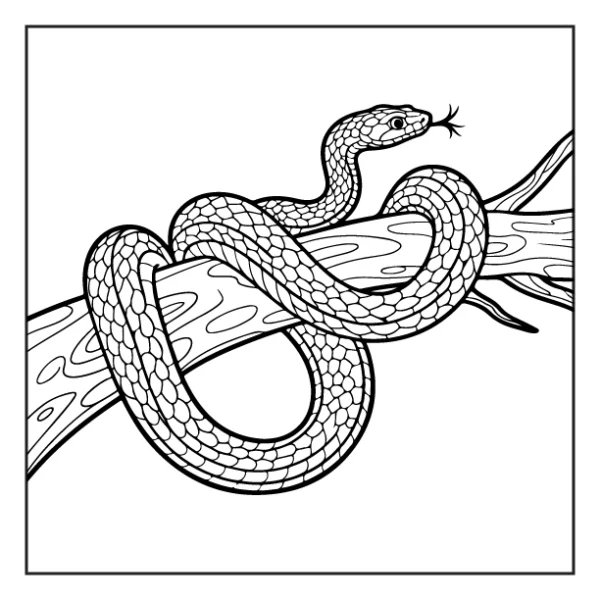 Desenhos de Animais da Floresta para colorir 36