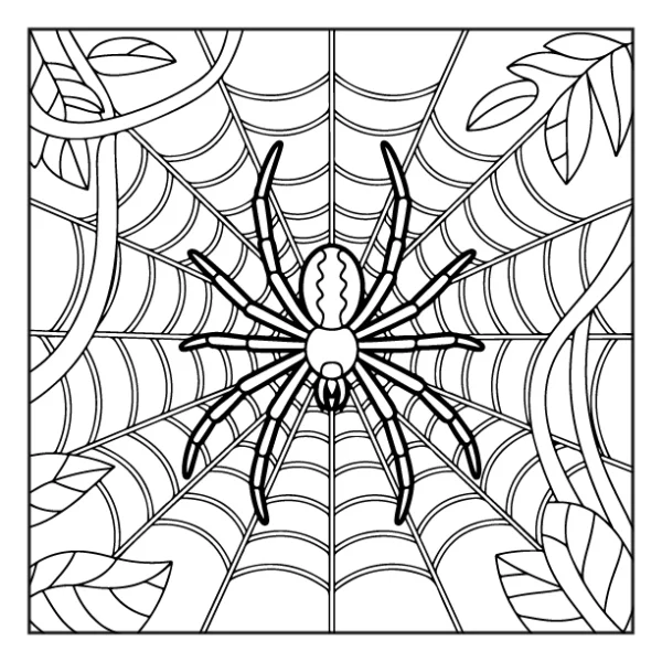 Desenhos de Animais da Floresta para colorir 42