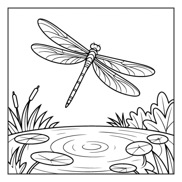 Desenhos de Animais da Floresta para colorir 48
