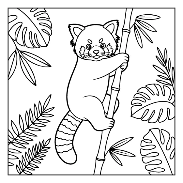 Desenhos de Animais da Floresta para colorir 49