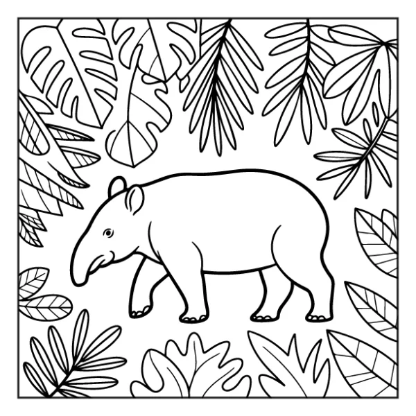 Desenhos de Animais da Floresta para colorir 5