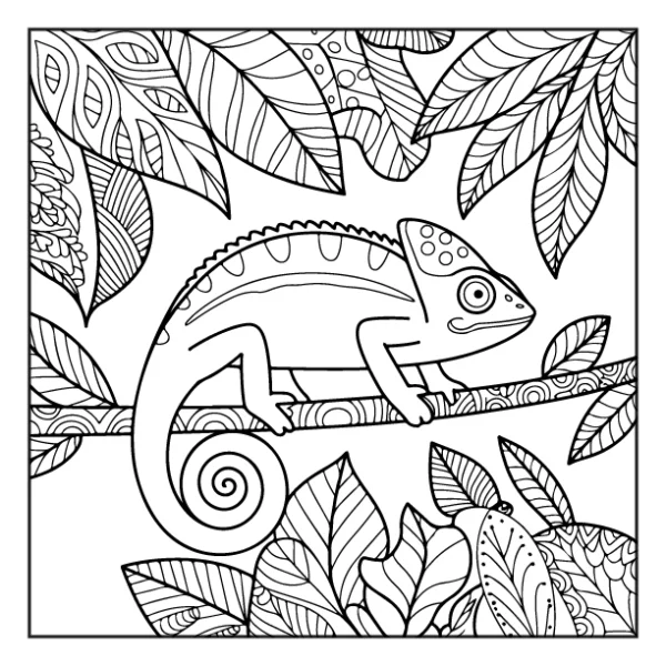 Desenhos de Animais da Floresta para colorir 51