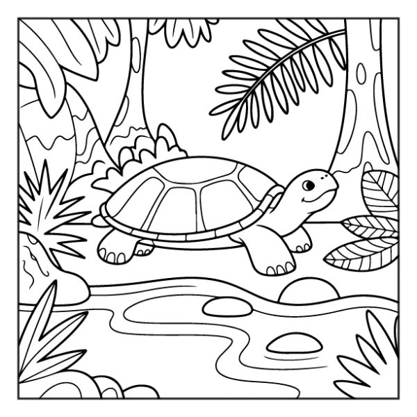 Desenhos de Animais da Floresta para colorir 8