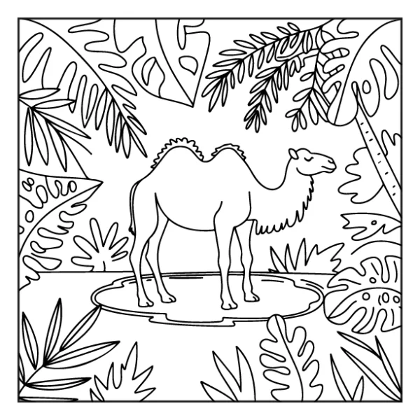 Desenhos de Animais da Floresta para colorir 9