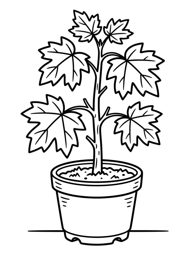 Desenhos de Árvores para colorir 113