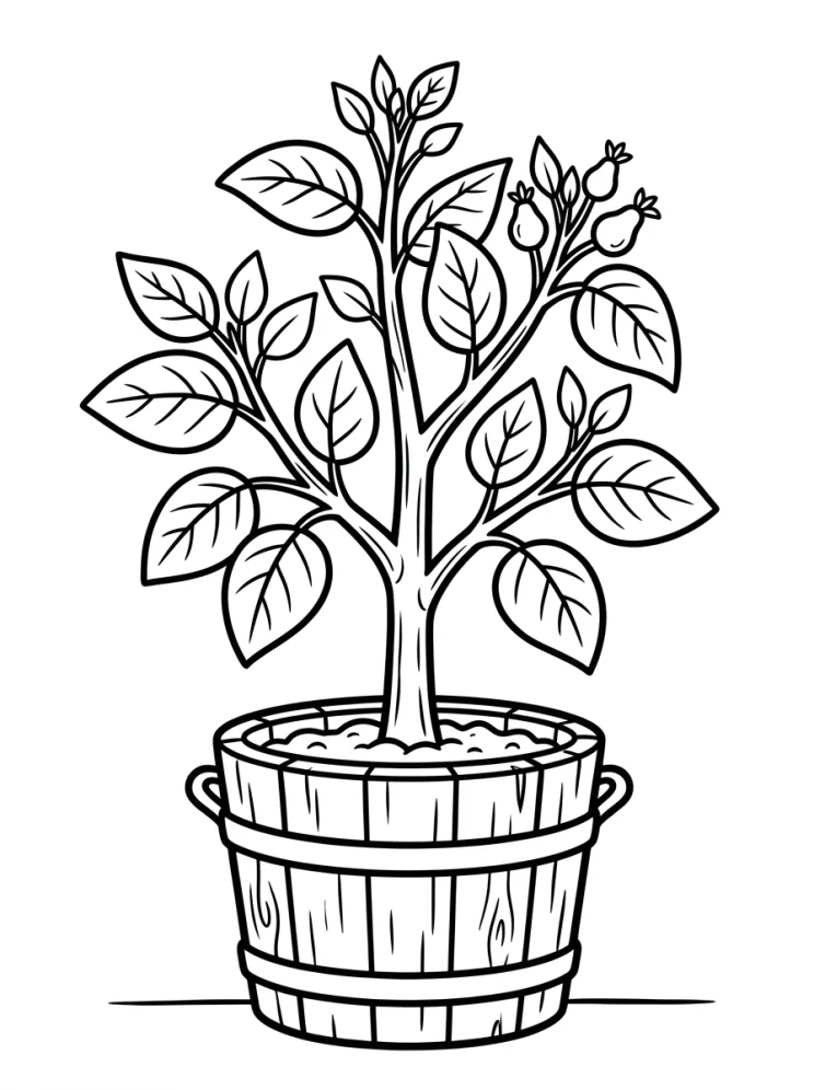 Desenhos de Árvores para colorir 140