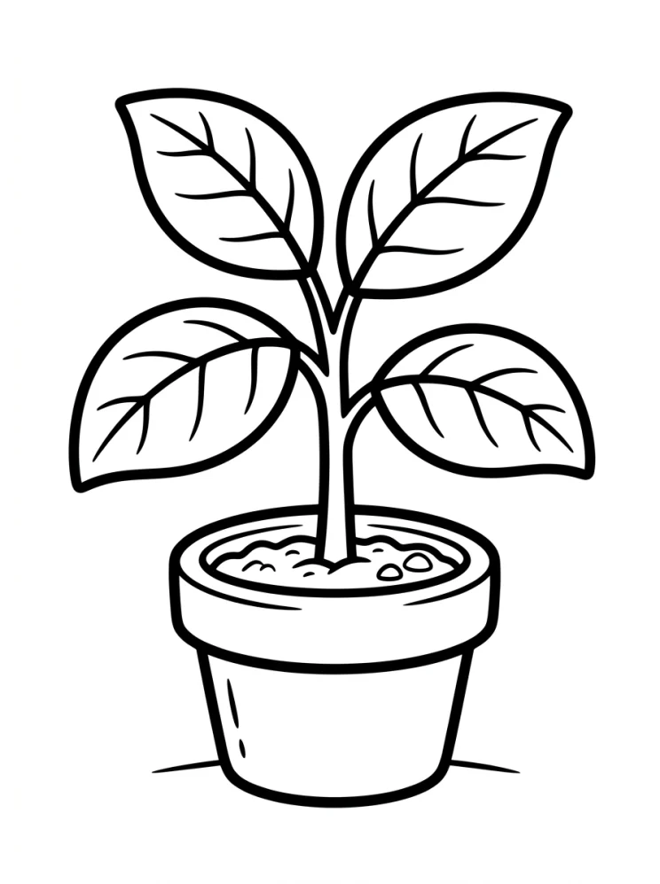 Desenhos de Árvores para colorir 37
