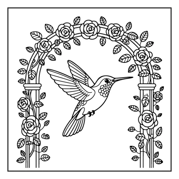 Desenhos de Beija-Flor para colorir 1