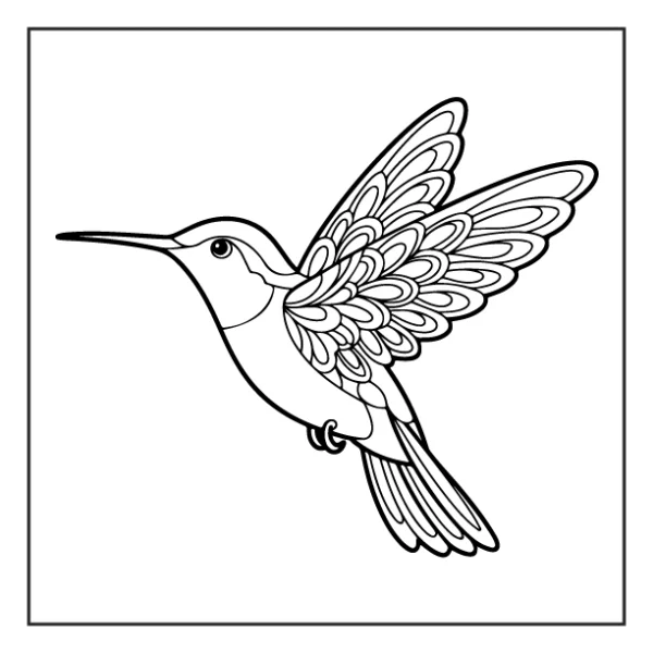 Desenhos de Beija-Flor para colorir 10