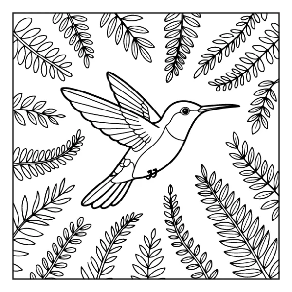 Desenhos de Beija-Flor para colorir 11