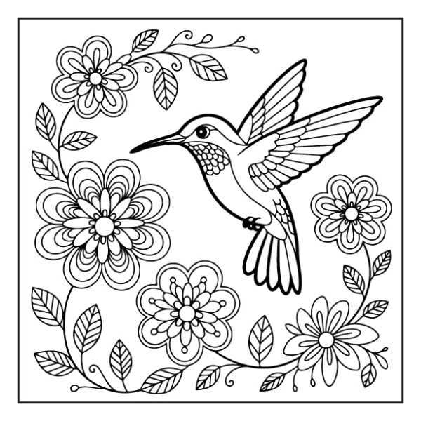 Desenhos de Beija-Flor para colorir 13