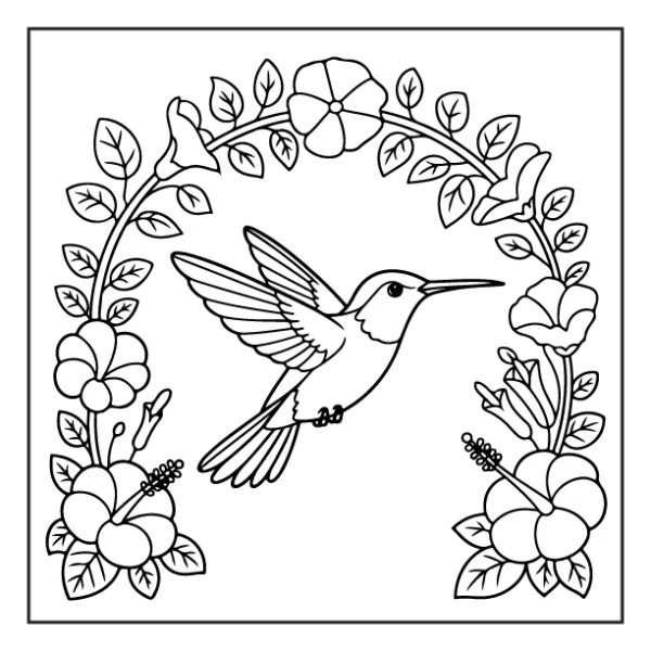Desenhos de Beija-Flor para colorir 14