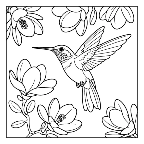 Desenhos de Beija-Flor para colorir 17