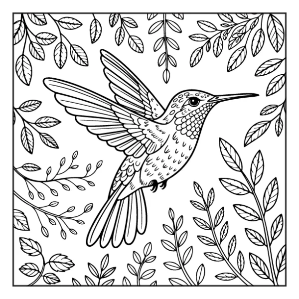 Desenhos de Beija-Flor para colorir 19