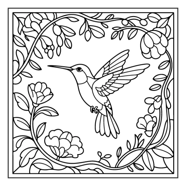 Desenhos de Beija-Flor para colorir 2