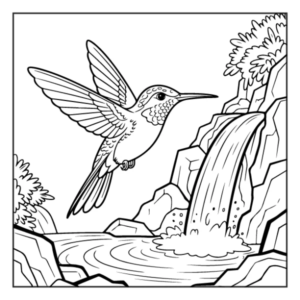 Desenhos de Beija-Flor para colorir 20