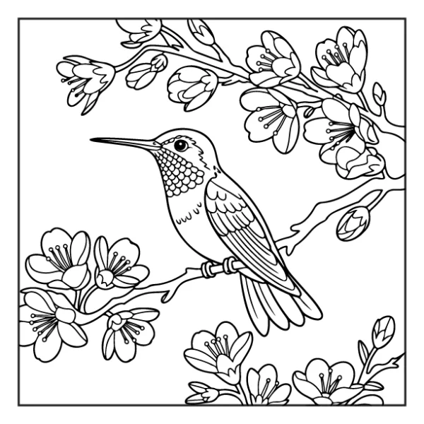 Desenhos de Beija-Flor para colorir 21