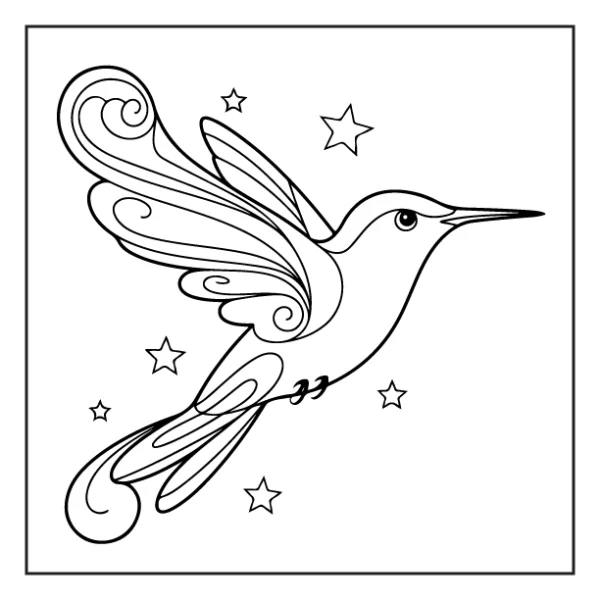 Desenhos de Beija-Flor para colorir 22