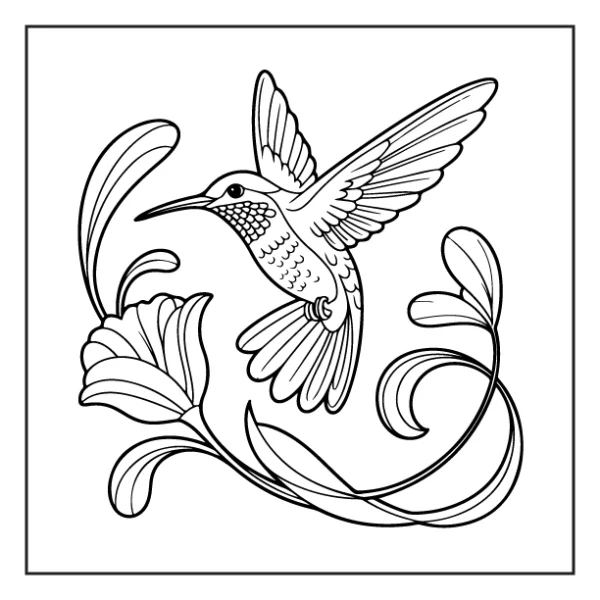 Desenhos de Beija-Flor para colorir 24