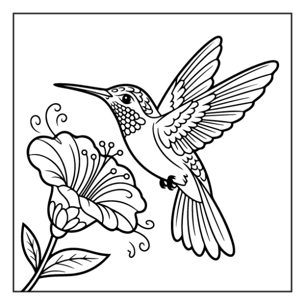 Desenhos de Beija-Flor para colorir 25