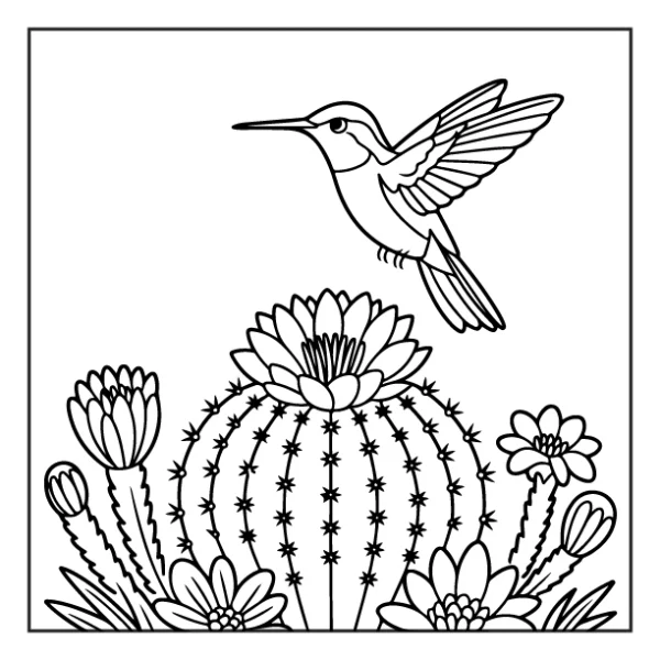 Desenhos de Beija-Flor para colorir 28