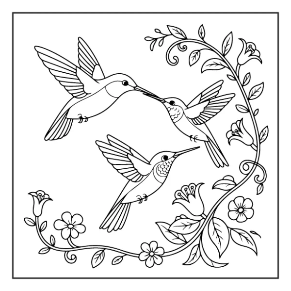 Desenhos de Beija-Flor para colorir 29