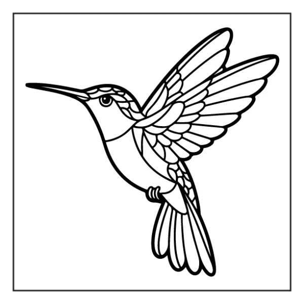 Desenhos de Beija-Flor para colorir 3