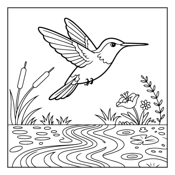 Desenhos de Beija-Flor para colorir 30