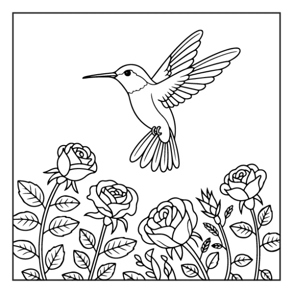 Desenhos de Beija-Flor para colorir 31