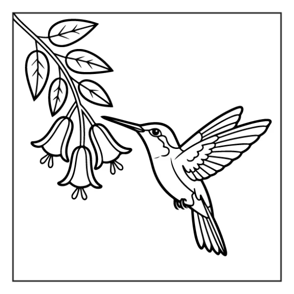 Desenhos de Beija-Flor para colorir 32