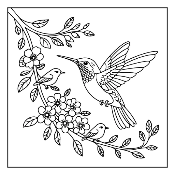 Desenhos de Beija-Flor para colorir 34