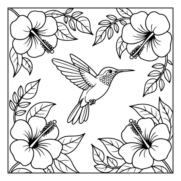 Desenhos de Beija-Flor para colorir 36